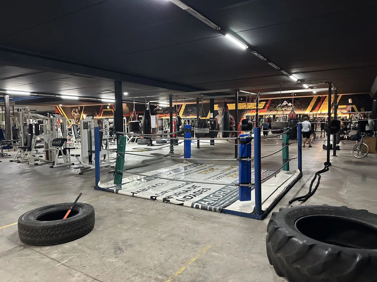 MMA — Gladius Gym Castellón
