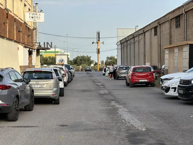 Calle de acceso al gimnasio, en la zona industrial de Castellón
