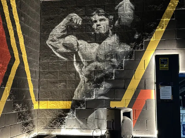 Mural de Arnold Schwarzenegger en la sala de máquinas