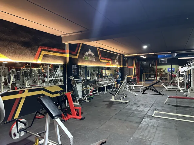 Sala de musculación con racks, bancos y peso libre