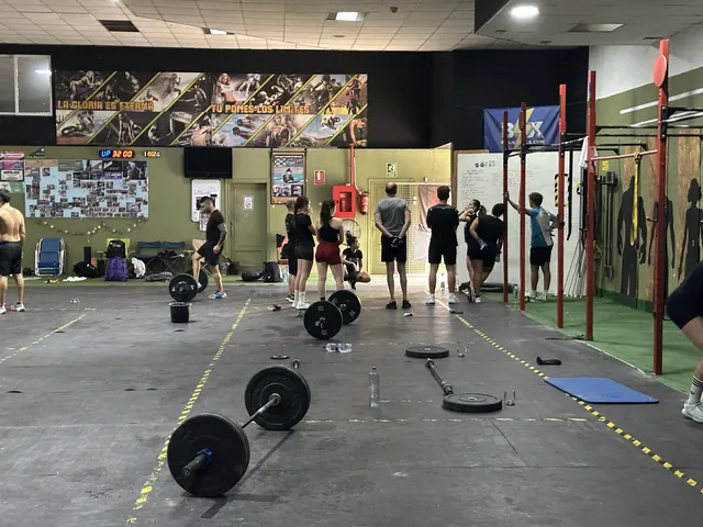 Grupo entrenando durante una clase de Cross Training